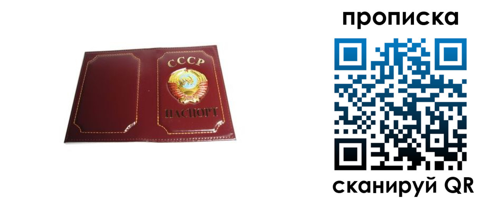 прописка гарантия в Архангельске